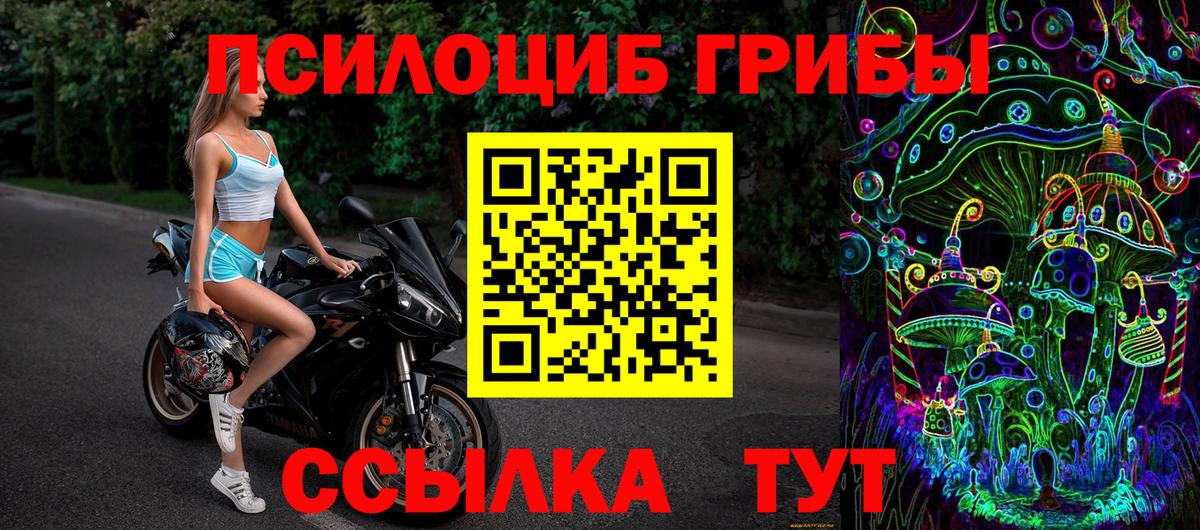 Галлюциногенные грибы GOLDEN TEACHER Усть-Кут